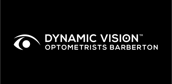 Dynamic Vision logo